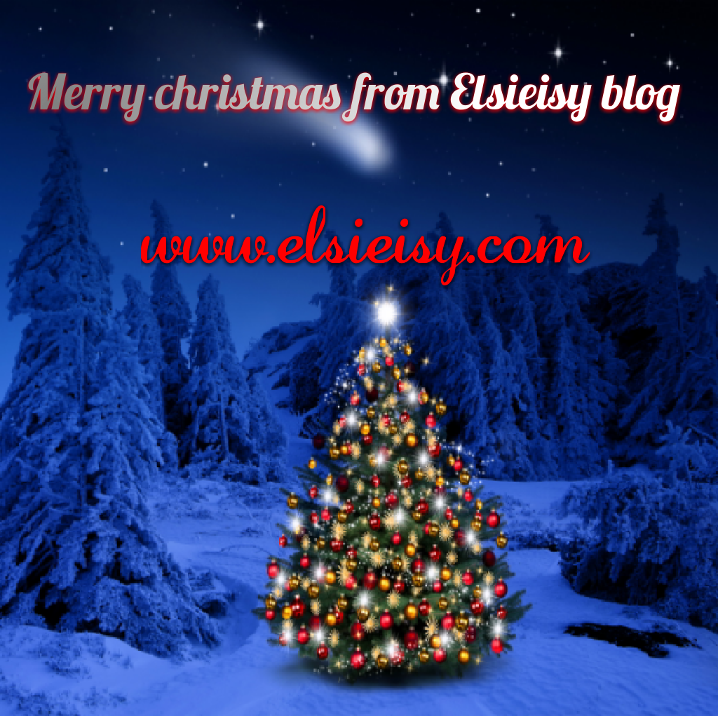 merry christmas from elsieisy blog