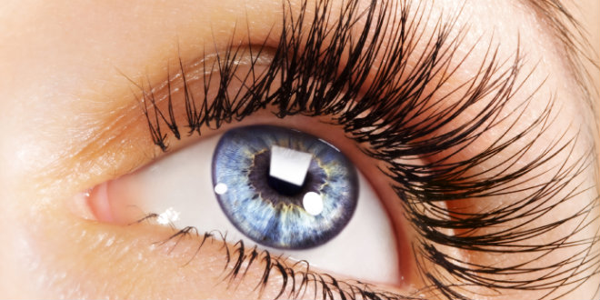 fake eyelashes