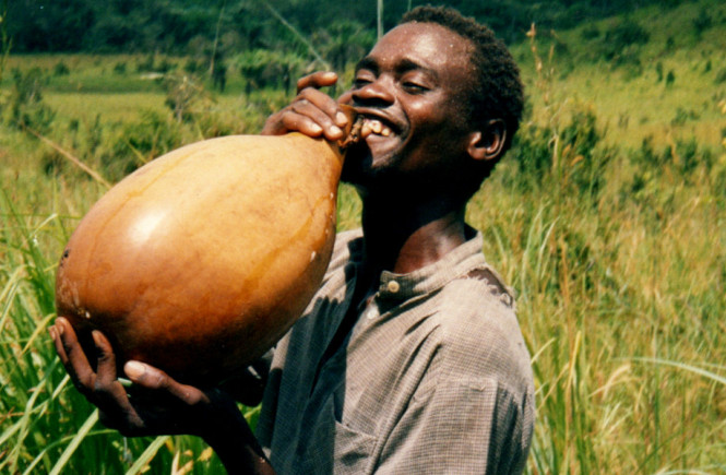 #BlogFest: The Aftermath of Poverty and Palm wine