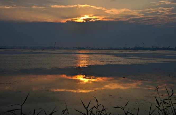 Low Sunlight Exposure Increases Cancer Risk