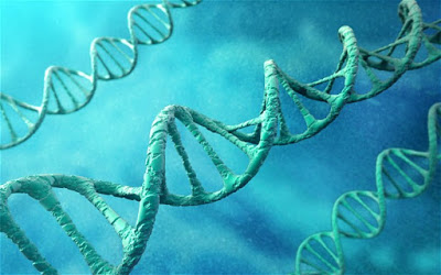 British Scientists Granted Permission To Genetically Modify Human Embyros