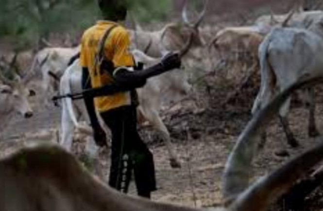 Of Fulani Herdsmen and the Hideousness of Silence Question