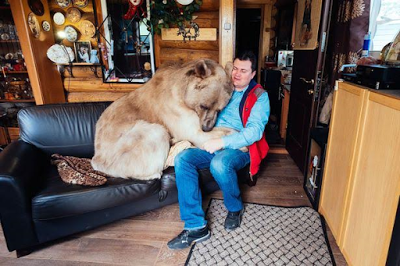 Adopted Family Bear Sits At Dinner Table, Helps With Household Chores & Even Cuddles