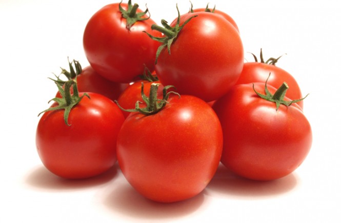 5 Ways to Save Your Tomato Farm From Pest Attacks - Professor