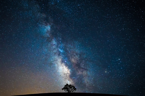 Patience, Perspective, Perseverance - elsieisy blog