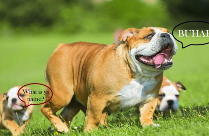 A Dog Named Buhari and A Hippo Named Patience - elsieisy blog