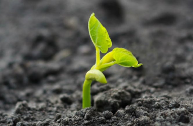 life by Blessing Aguda - elsieisy blog