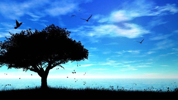 Anarchy of Peace - poetry - elsieisy blog