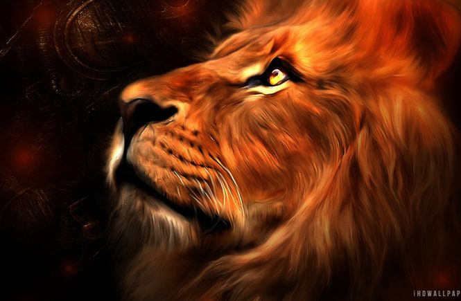 Lion in my Heart - elsieisy blog