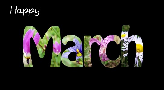 March: A Month Filled with Happiness and Anxiety - elsieisy blog