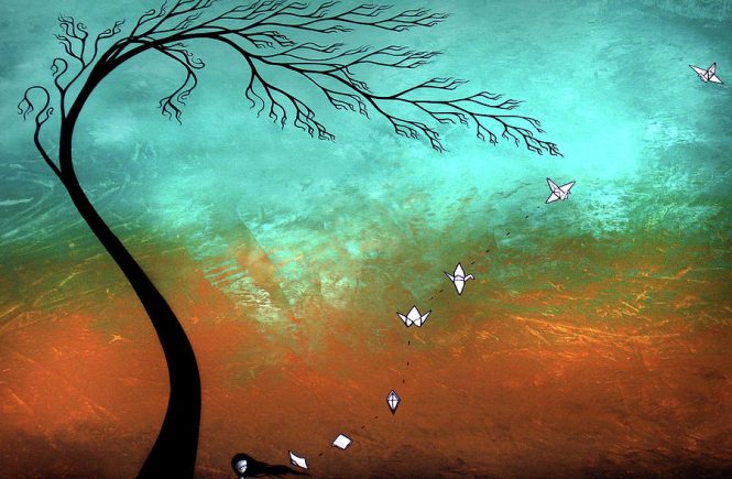 Theory of Evolution - elsieisy blog