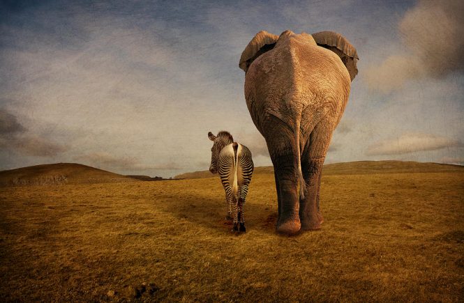 To Friendship bliss and tranquil - To Abraham - elsieisy blog
