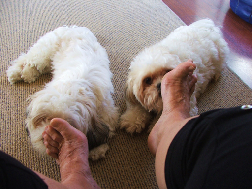 Whose FEET are you LICKING - elsieisy blog