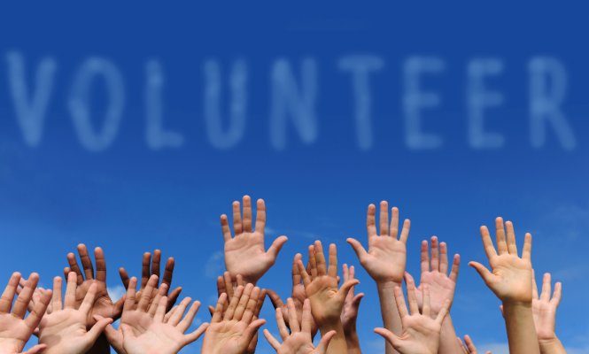 To volunteer or not to volunteer - elsieisy blog