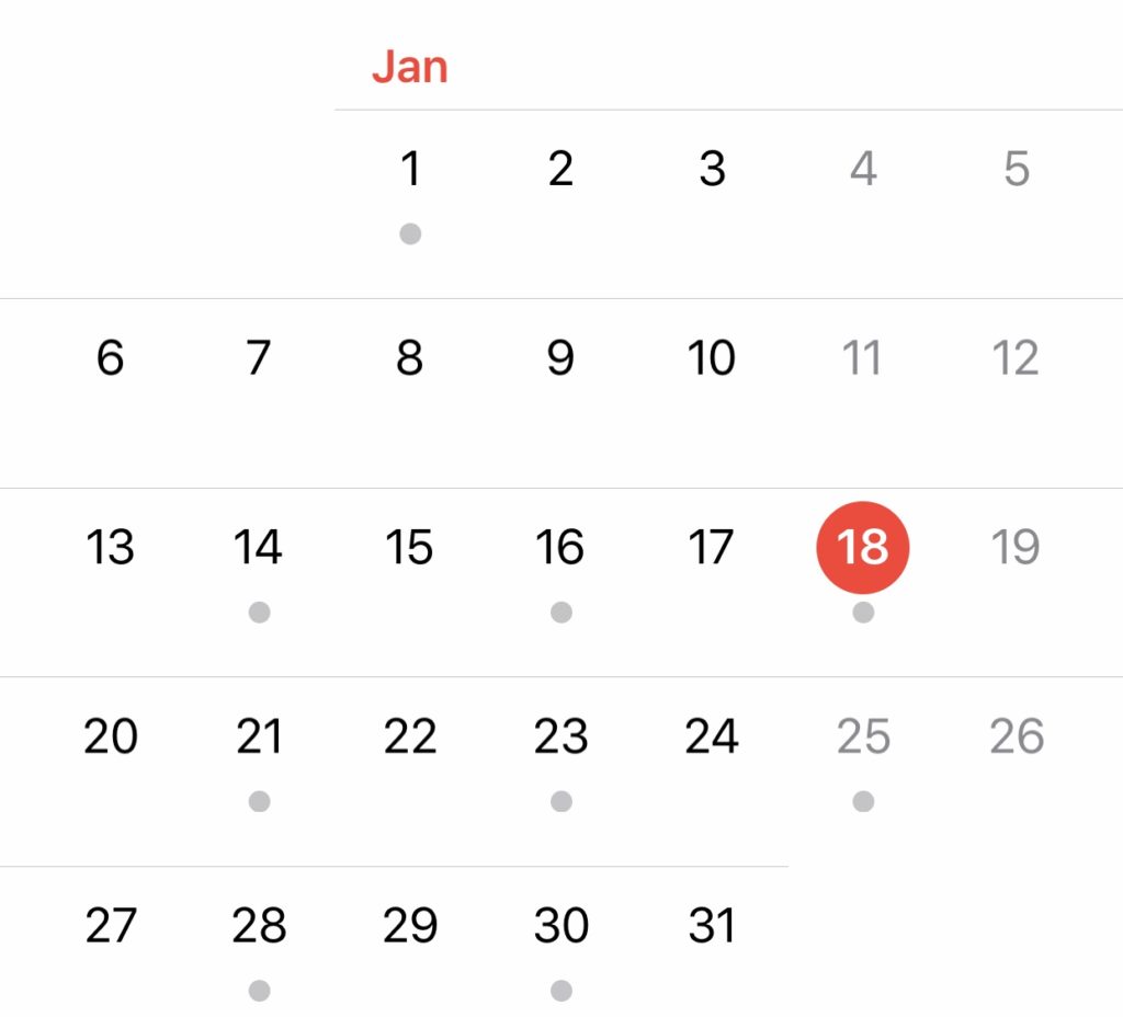January 2020 calendar - elsieisy blog