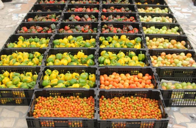 Agricultural sector in Nigeria - Elsieisy blog