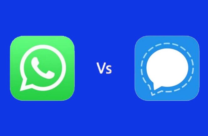 whatsapp vs signal - elsieisy blog