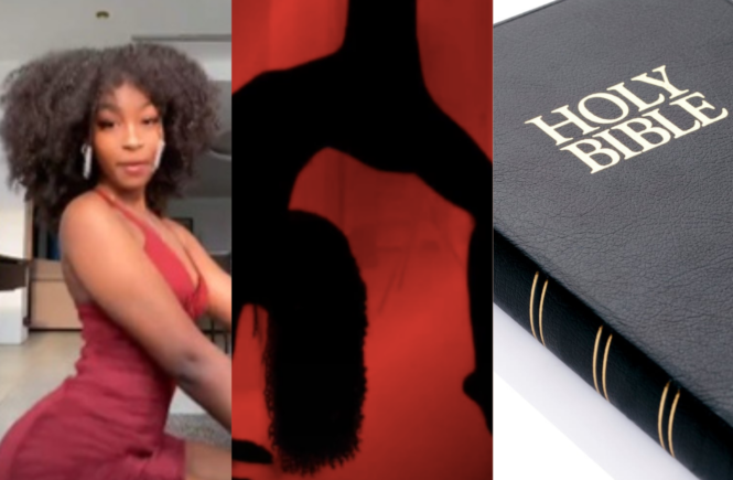 Bussit Challenge - Silhouette Challenge - Scriptural Challenge - Elsie Godwin opinion